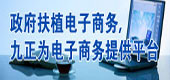 政府扶持電子商務(wù)